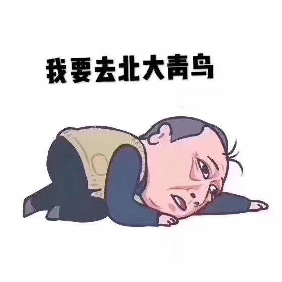 來鄭州北大青鳥學IT不做“蘇明成”