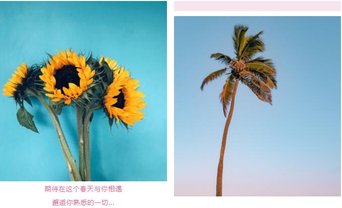 鄭州北大青鳥(niǎo)翔天信鴿線上“運(yùn)動(dòng)會(huì)”開(kāi)啟