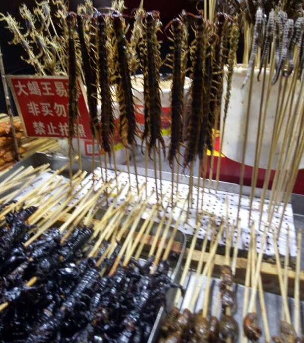 鄭州北大青鳥翔天信鴿校區2016年“校園文化行活動”