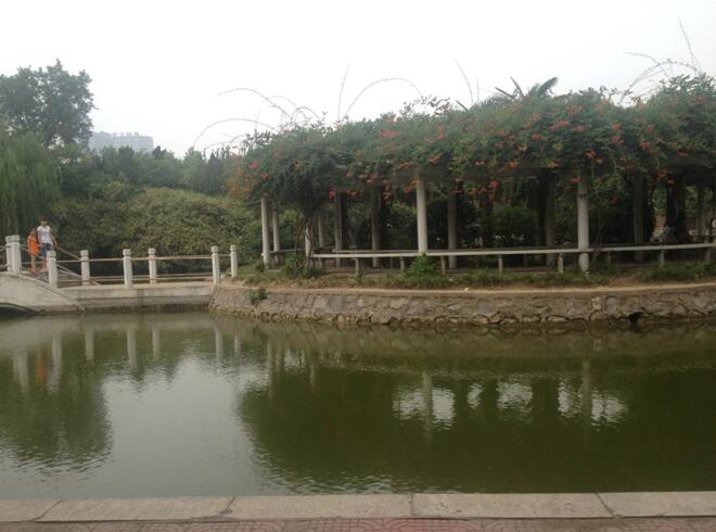 校園觀賞湖
